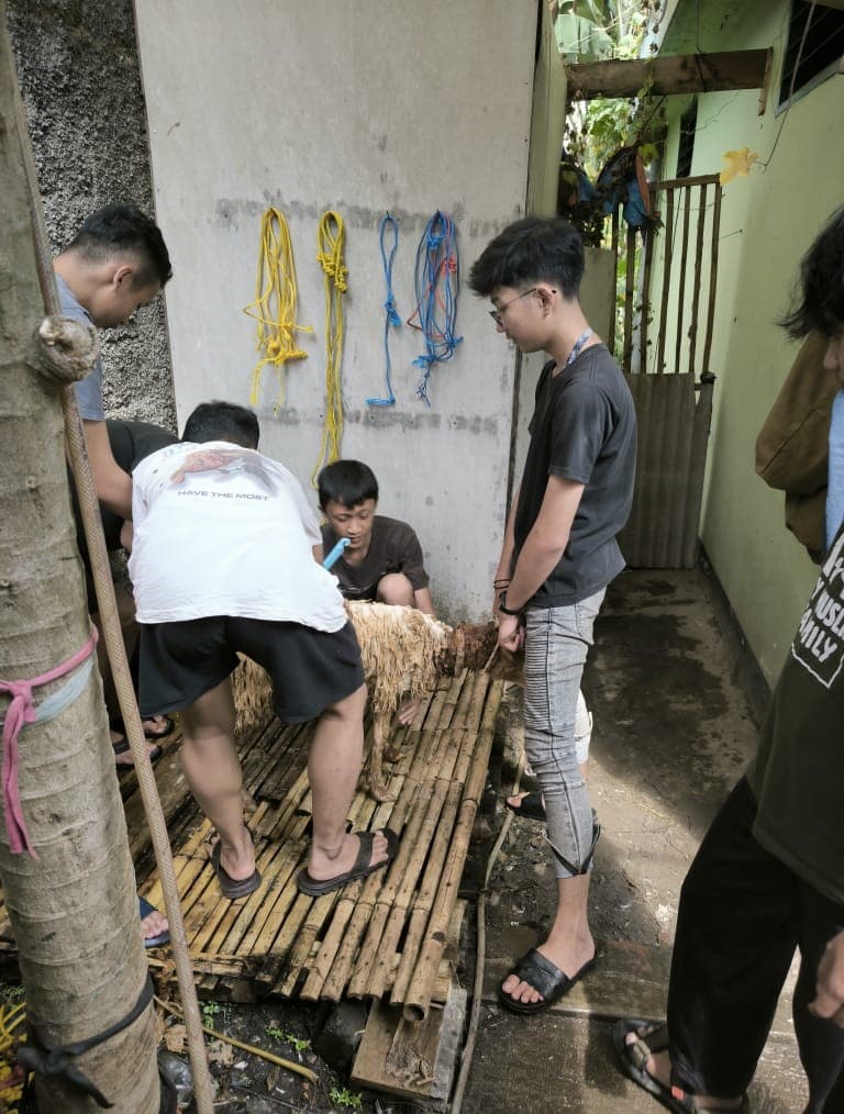 Perawatan hewan qurban